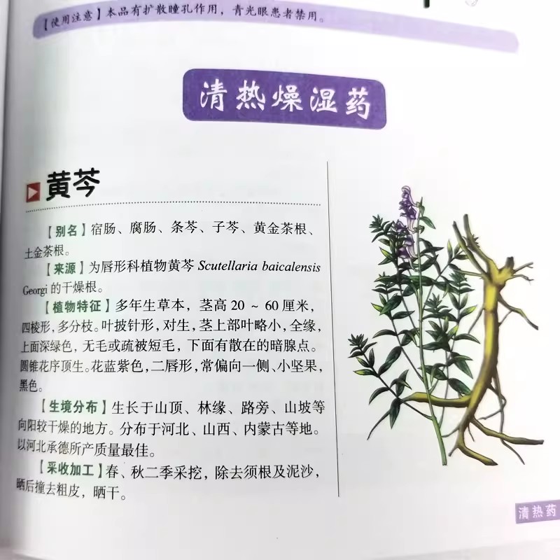 고대 약초 모음집 홀리스틱 웰니스 가이드북: 중국 한방 - Herbal Holistic Wellness 리뷰 및 가격